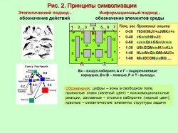 Рисунок 2